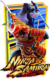 Ninja vs Samurai